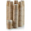 (500, No) 8oz Disposable Coffee Cups 1
