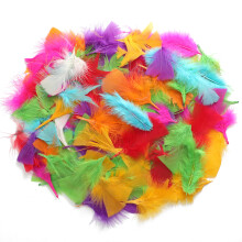 TRIXES Easter Coloured Feathers x250 Kids Arts & Crafts/Decorations