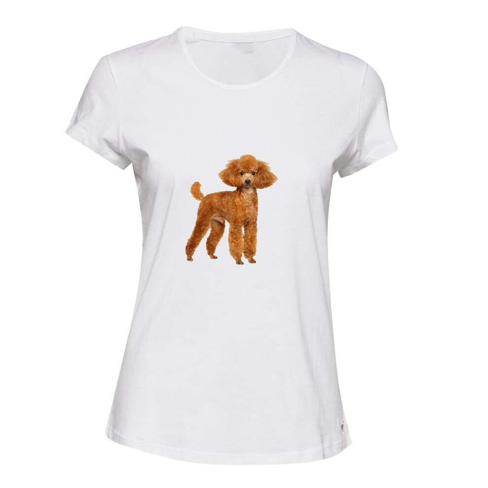 (S) Brown Poodle Dog Cute Baby Puppy Pet White Ladies Women T Shirt Tee Top
