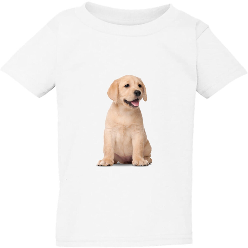 (2XL / 6T / 5-6 YO) Dog Gold Labrador Retriever Cute Puppy White Kids Boys Girls T Shirt Tee Top