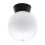 (Ceiling Light) Litecraft Lancaster Light With Globe Shade - Black 1