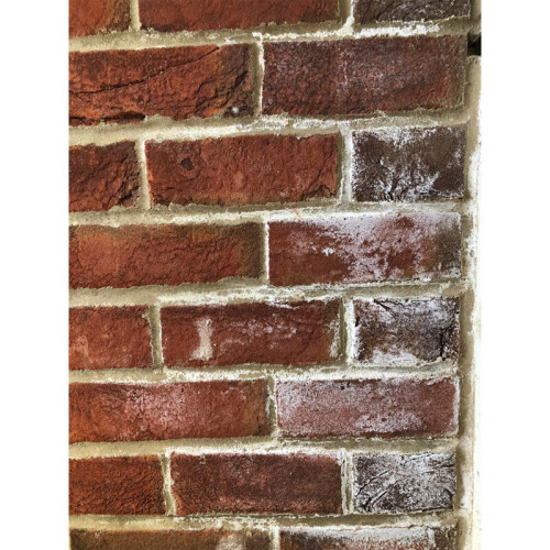 (5 Litres) Smartseal Efflorescence Remover - Easily Remove Efflorescence From Block Paving, Walls and Brickwork 2