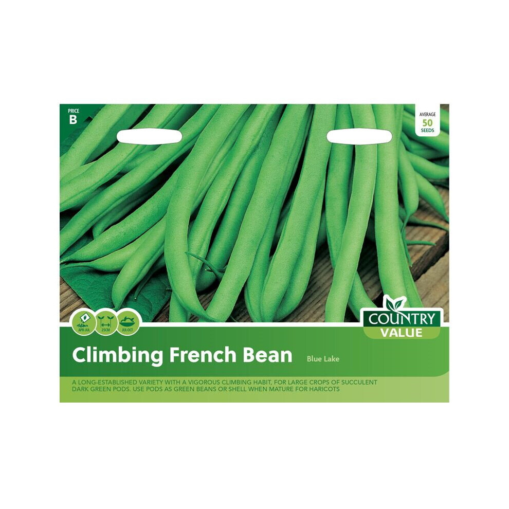 Climbing French Bean Seed Garden Vegetables Blue Lake Country Value