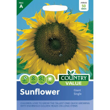 Country Value Sunflower Giant Single Grow Your Own Garden Edible Flowers Seeds