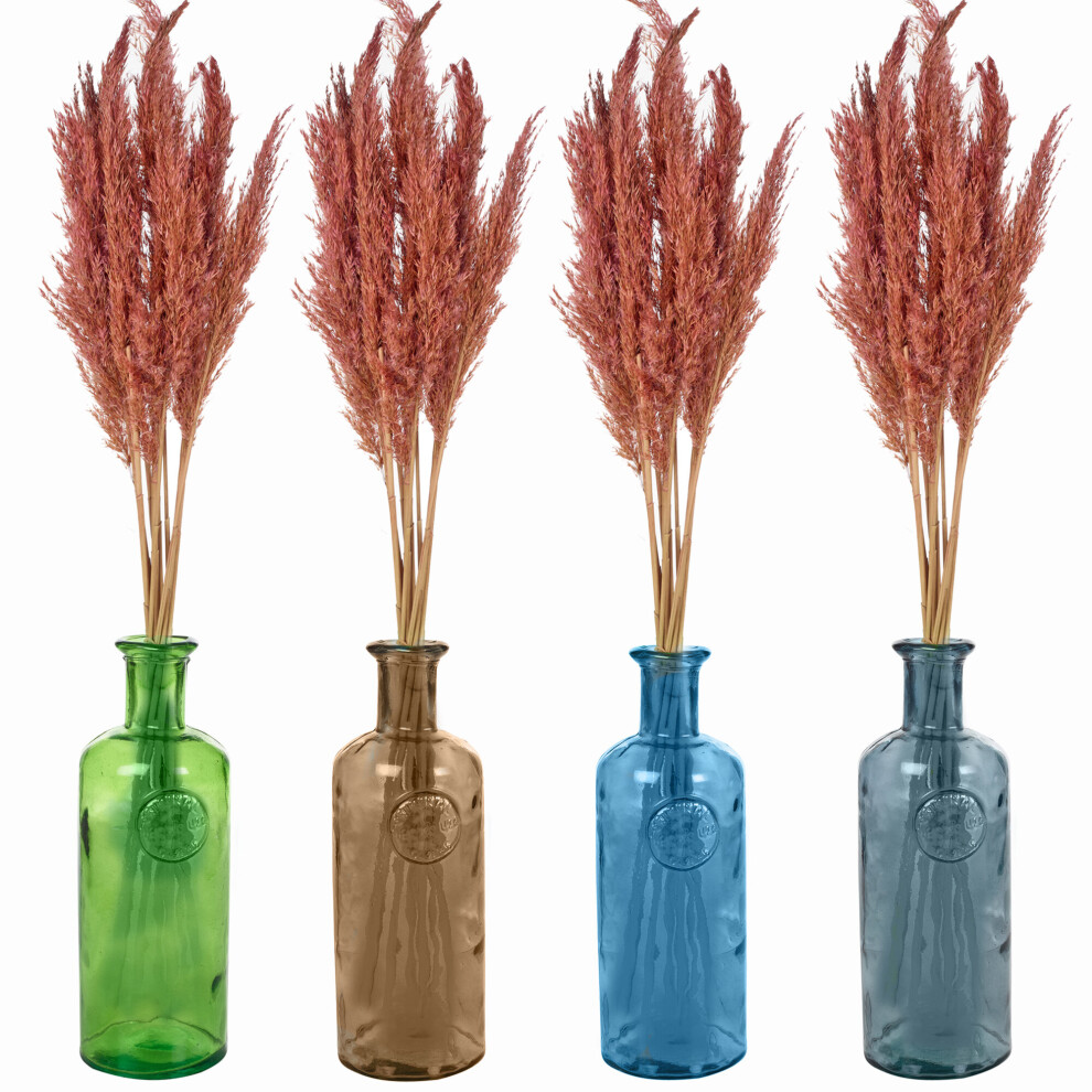 (Lime, Pink) 20cm Recycled Glass Vase + Wild Pampas Reed Stems