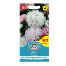 Aster Seeds Grow Your Own Garden Flowers The Roses Mr Fothergill's