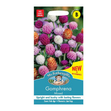 Gomphrena Seeds Grow Your Own Garden Flowers Mixed Mr Fothergill's