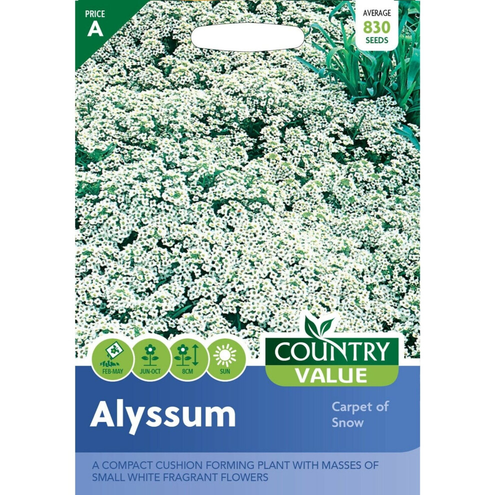Country Value Alyssum Carpet of Snow Grow Your Own Garden Flowers Seeds Packet