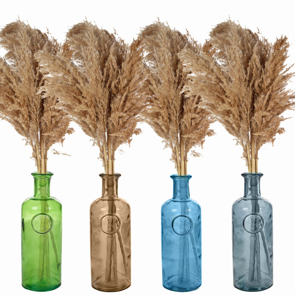 Urbn Living (Lime, ) 33Cm Recycled Glass Vase + Wild Pampas Reed Stems Green