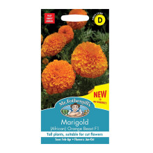Marigold Seeds Grow Your Garden Flowers African Orange Mr Fothergill's