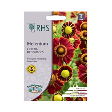 Helenium Seeds Grow Your Own Garden Flowers Helena Red Shades RHS