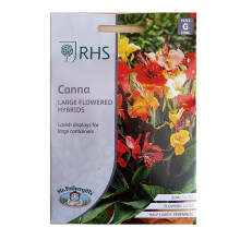 Canna Seed Grow Your Garden Flowers Large Hybrids RHS Mr. Fothergill's