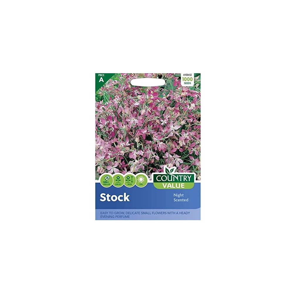 Stock Seed Grow Your Own Garden Flowers Night Scented Country Value