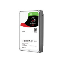 Seagate IronWolf internal hard drive 10 TB 256 MB 3.5" Serial ATA III (ST10000VN000)