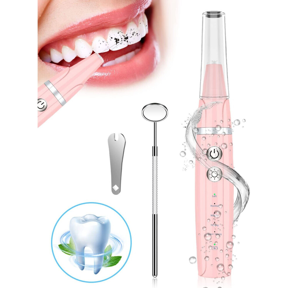 Etruston Plaque Remover For Teeth ,Tartar Remover For Teeth With Ipx6