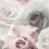 Muriva Muriva Rhoda Rose Pink Wallpaper 203501 1