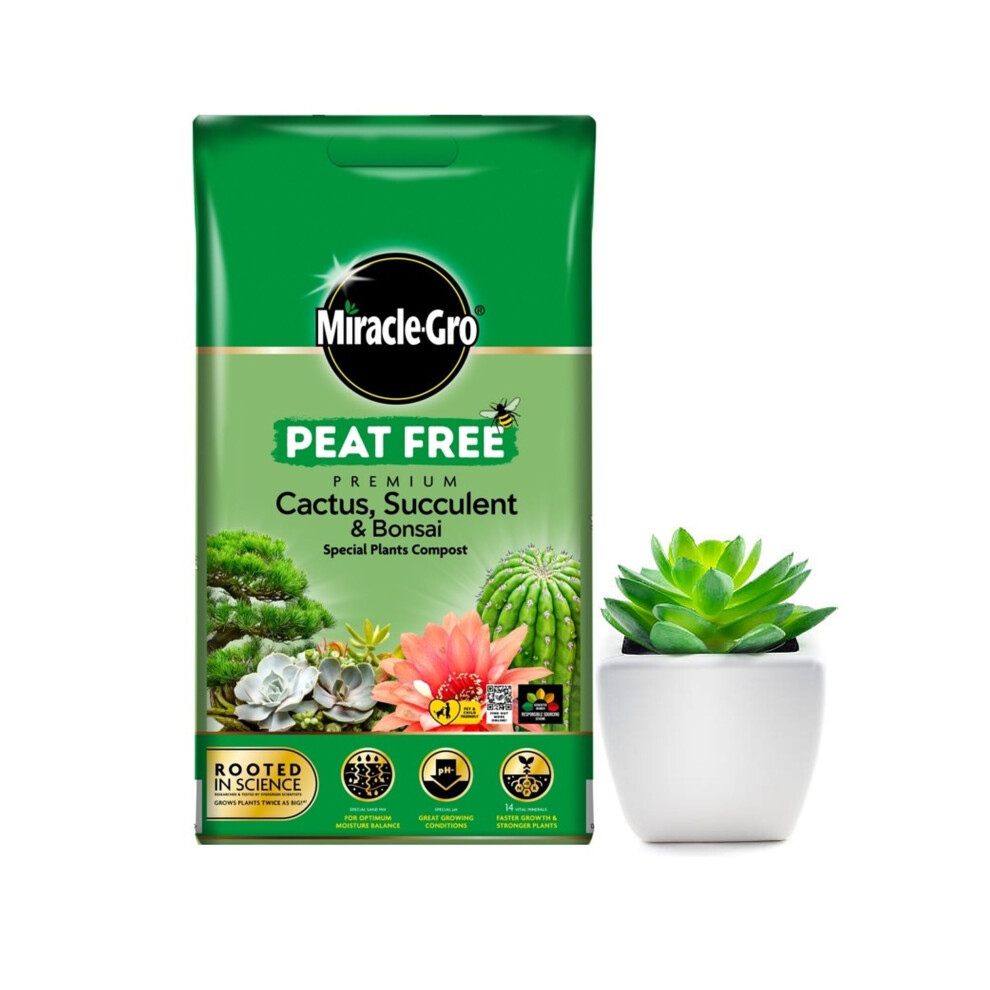 Miracle Gro Cactus Succulent Bonsai Compost Vital Mineral Pot Soil 10L