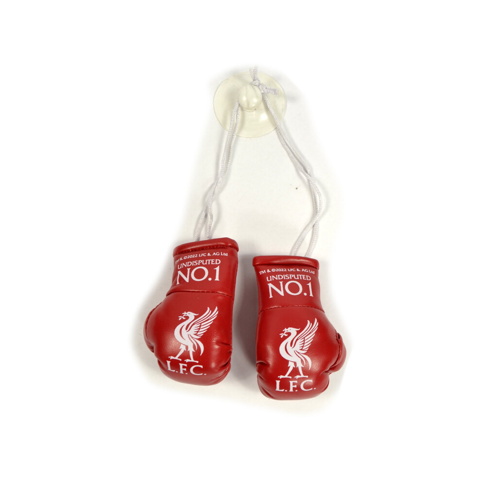 Liverpool Boxing Gloves Car Hanger No 1