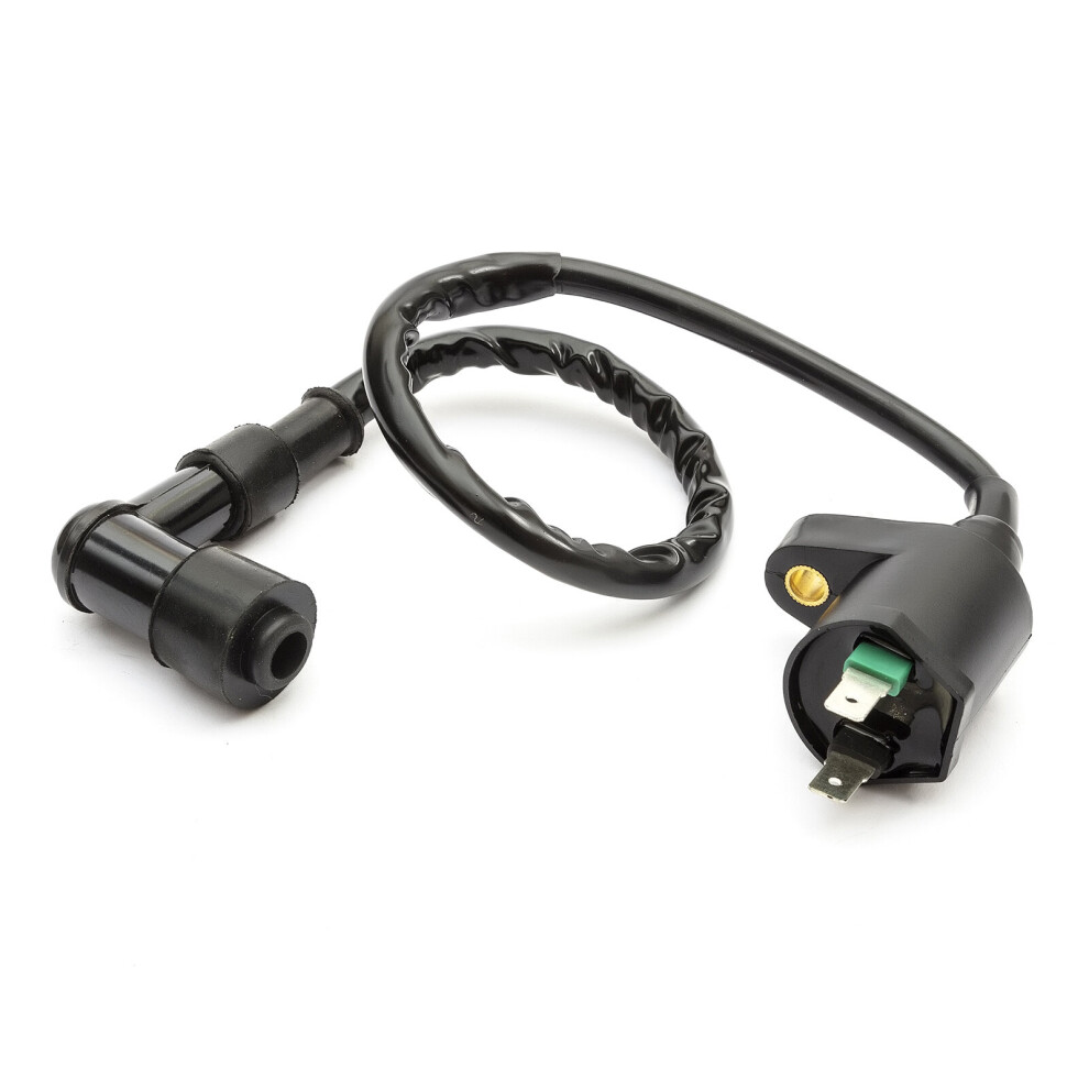 Pit Bike Ignition Coil 50Cc 70Cc 90Cc 110Cc 125Cc 150Cc Spark Plug Stator Stater 5055583001109