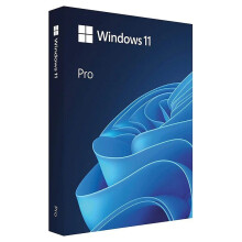 MS Windows 11 Professional