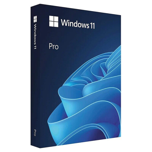 Microsoft MS Windows 11 Professional