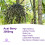 Acai Berry 3000mg - 240 Tablets 6