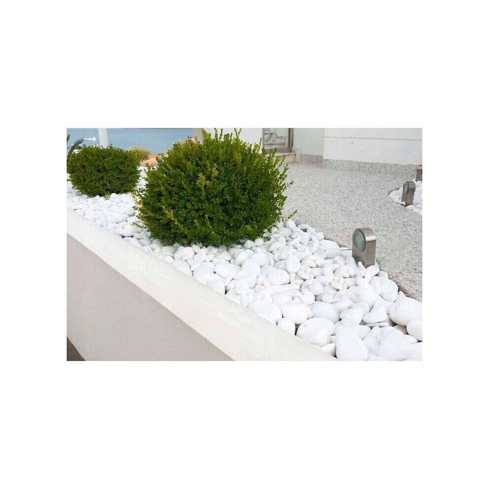 (100kg) Decorative MARBLE EXTRA WHITE Stones / Pebbles  *** HOME & GARDEN  *** AQUARIUM