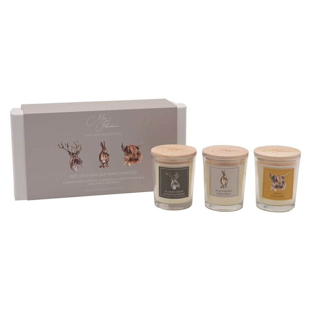 Set of 3 Mini Fragranced Soy Wax Candles Meg Hawkins Favourites 3 x 70g Jars