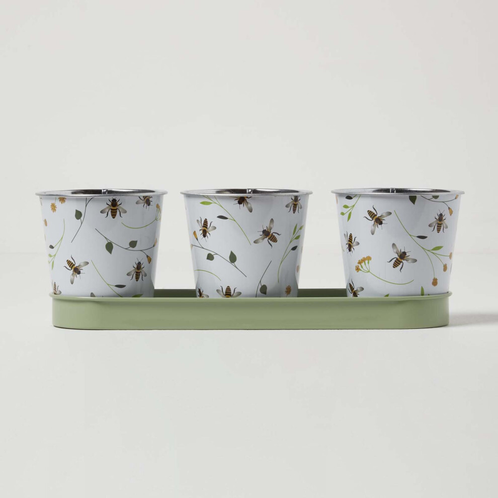 Set of 3 Green and White Indoor Plant Pots with Floral Bee Design