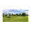 Coleman Coleman Event Shelter Performance M Bundle 3 x 3m 8