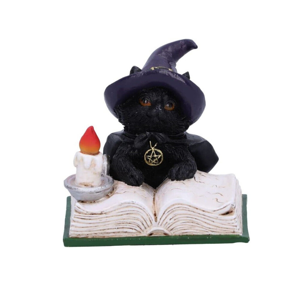 Nemesis Now Familiar's Spell Black Cat Wiccan Decorative Ornament