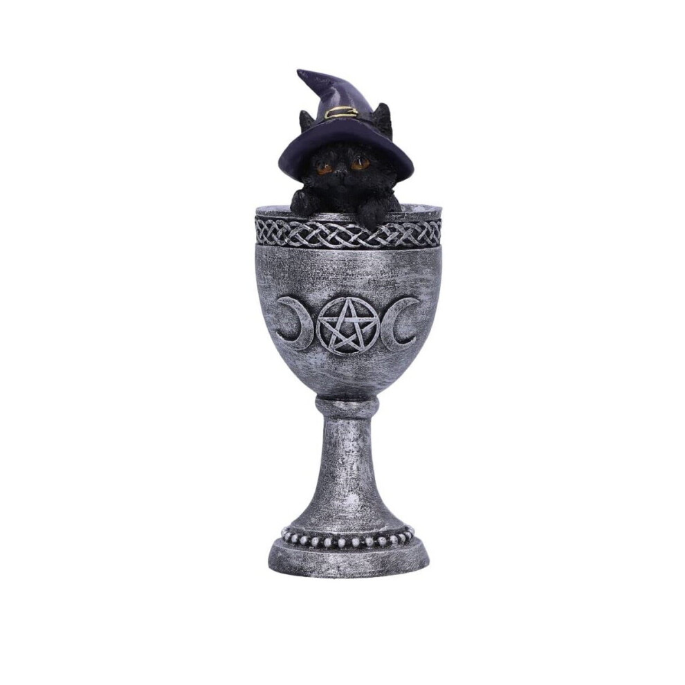 Nemesis Now Figurine Coven Cup Black Cat Wiccan Decorated Ornament