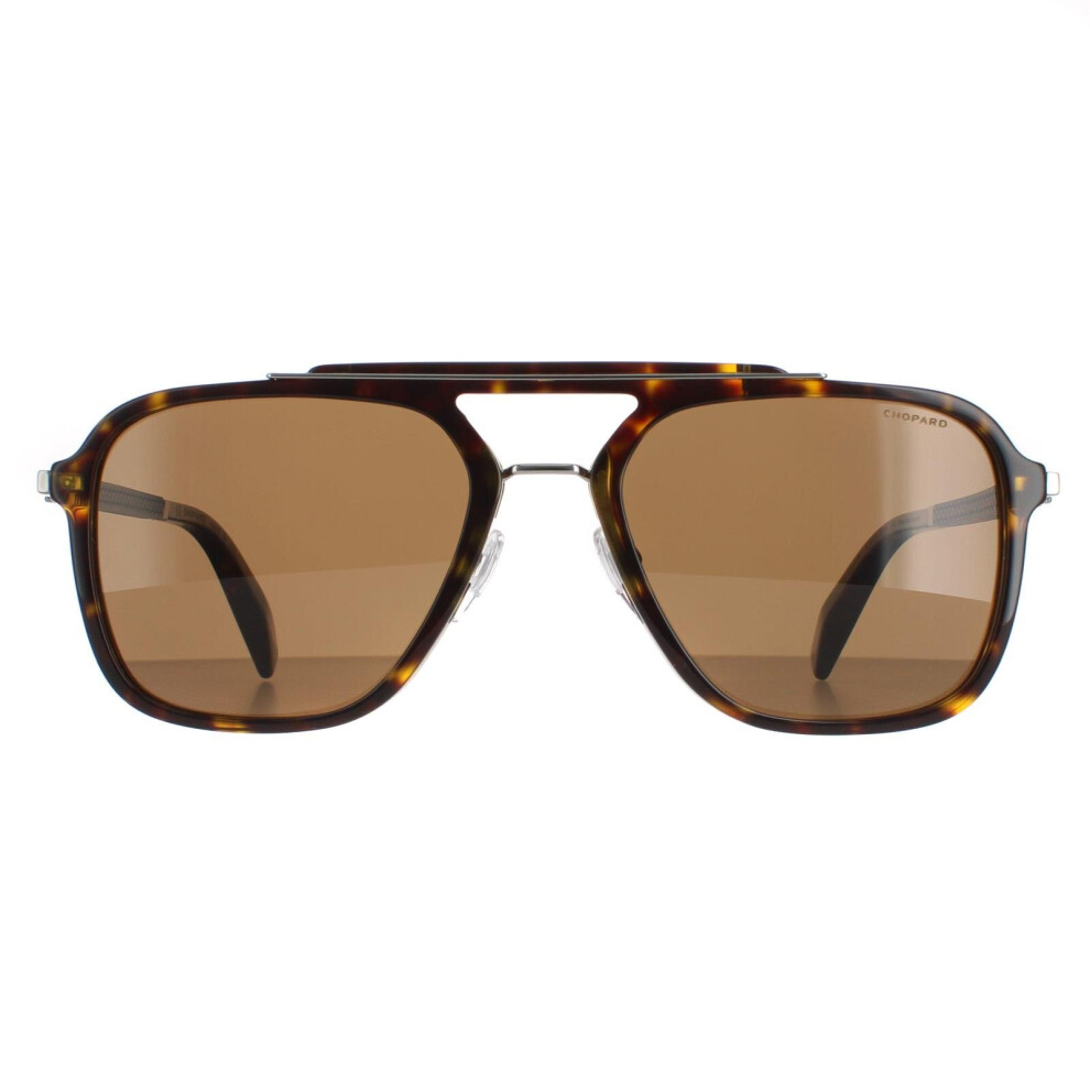 Chopard Sunglasses SCH291 722P Shiny Dark Havana  Brown Polarised