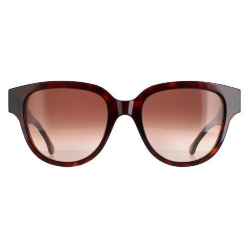 Paul Smith Paul Smith Sunglasses PSSN047 Darcy 02 Dark Turtle Brown Gradient