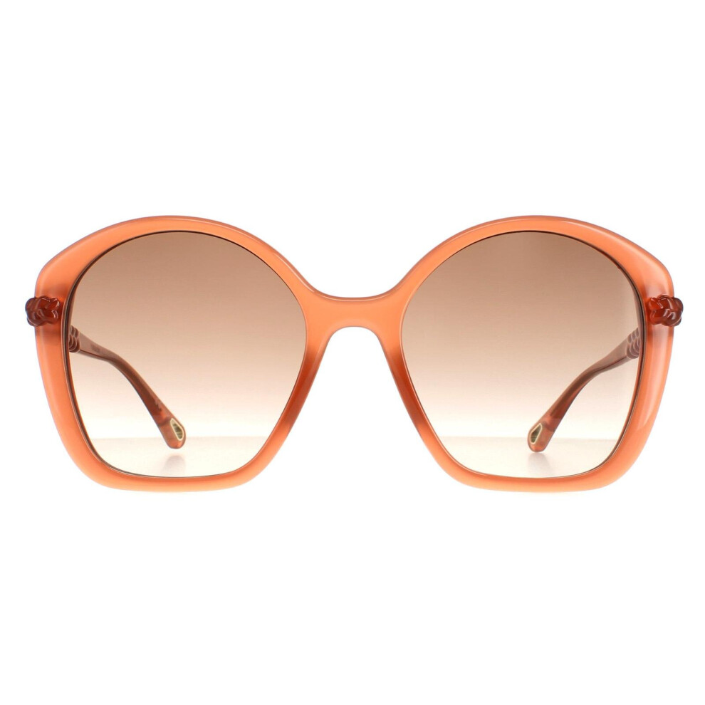Chloe Sunglasses CH0003S 002 Dark Pink Brown Gradient
