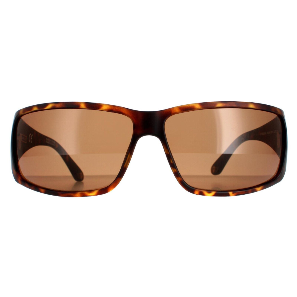 Police Sunglasses SPLB46 Origins 40 0738 Havana  Brown