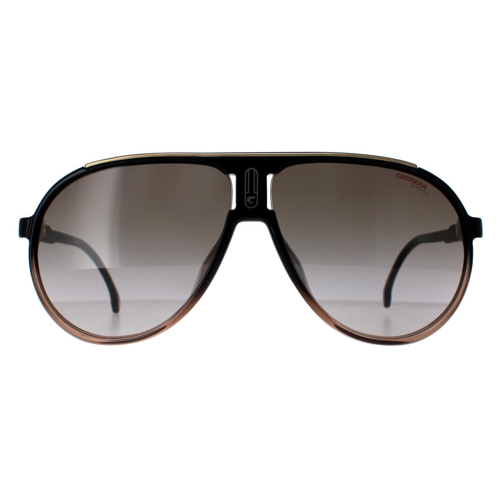 Carrera Sunglasses Champion 65/N Dcc/Ha Black Brown Shade Brown Gradient Black,Brown