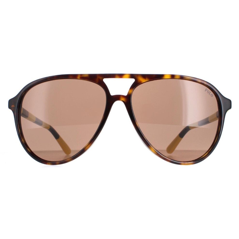 Ralph Lauren Polo Sunglasses Ph4173 500373 Shiny Dark Havana Brown