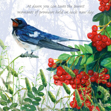 Tuppence A Bag Swallow At Dawn A New Day Bird Themed Bird Art Greeting Card Blank Inside