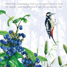 Tuppence A Bag Great Spotted Woodpecker Bird Drumming Bird Art Greeting Card Blank Inside