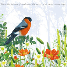 Tuppence A Bag Bullfinch Sweetest Notes Bird Themed Bird Art Greeting Card Blank Inside