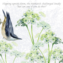 Tuppence A Bag Nuthatch Upside Down Bird Themed Bird Art Greeting Card Blank Inside