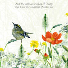 Tuppence A Bag Goldcrest Bird Smallest Of Them All Bird Art Greeting Card Blank Inside