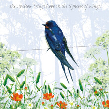 Tuppence A Bag The Swallow Light Wings Bird Themed Bird Art Greeting Card Blank Inside
