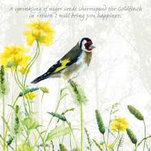 Tuppence A Bag Goldfinch Happiness Bird Themed Bird Art Greeting Card Blank Inside