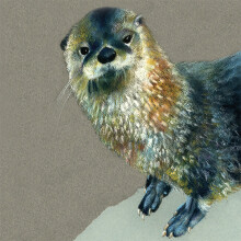 The Big Country Walk Collection Ozzie The Otter Any Occasion Animal Art Greeting Card Blank Inside