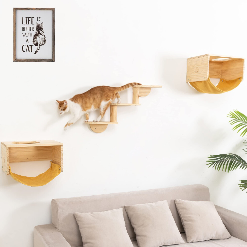 Cat sale wall ladder