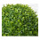 Garden Store Direct Artificial Topiary Tree, UV Protected, Buxus, In Weighted Pot - 80cm 4