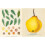 John Derian Sticker Book (John Derian Paper Goods) 4