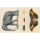 John Derian Sticker Book (John Derian Paper Goods) 5